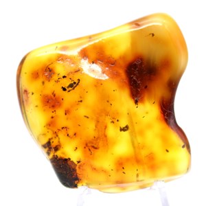 Ambre 19gr 46mm de russie
