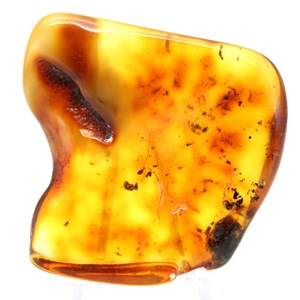 Ambre 19gr 46mm de russie