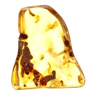 Ambre 15gr 50mm de russie