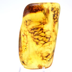 Ambre 22gr 56mm de russie