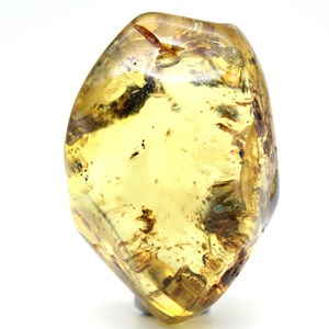 Ambre 59gr 60mm de russie