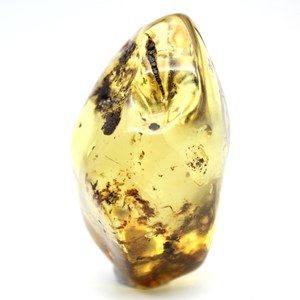 Ambre 59gr 60mm de russie