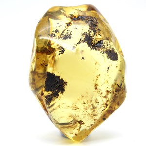 Ambre 59gr 60mm de russie
