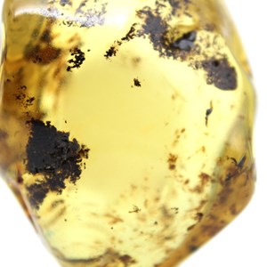Ambre 59gr 60mm de russie