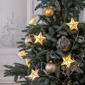 Guirlande étoilée lumineuse gardiole lon
