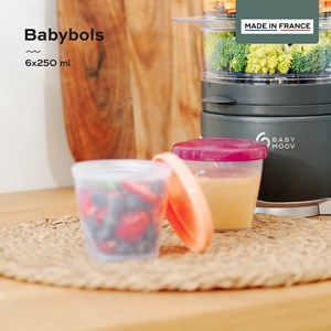 Babybols contenants petits pots 6x250ml