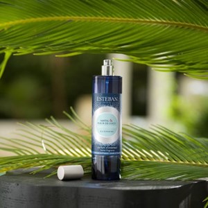 Vaporisateur 100 ml orange et thé vert