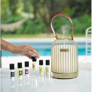 Vaporisateur 100 ml pêche de vigne