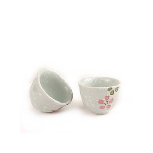 Service à saké traditionnel – printemps