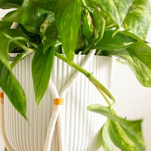 Kit diy - créer une suspension en corde