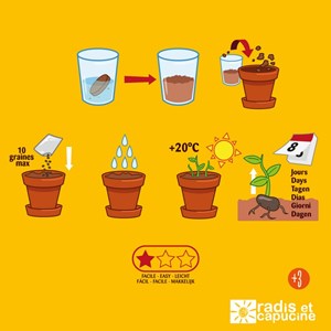 Mes petites tomates à semer