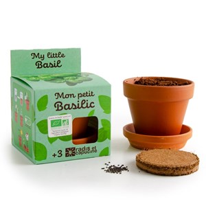 Kit enfant : basilic bio