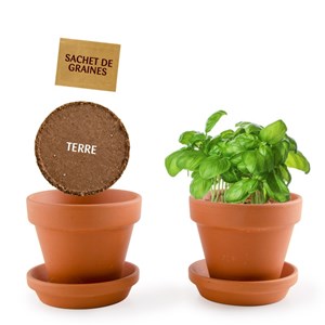 Kit enfant : basilic bio