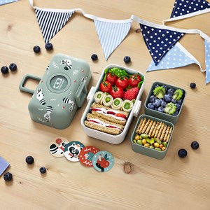 Bento compartimenté enfant 800ml raton