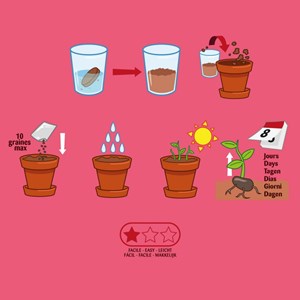 Mes petits radis bio à semer