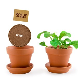 Mes petits radis bio à semer