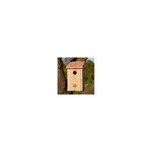 Nichoir grandes mésanges 32 mm