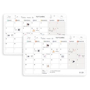 Lot de 2 organisateurs mensuels