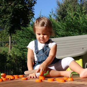 Jeu en bois coupe la carotte