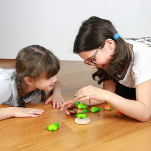Jeu en bois challenge tortue