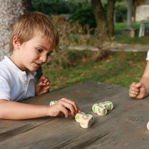 Jeu de dés snakes