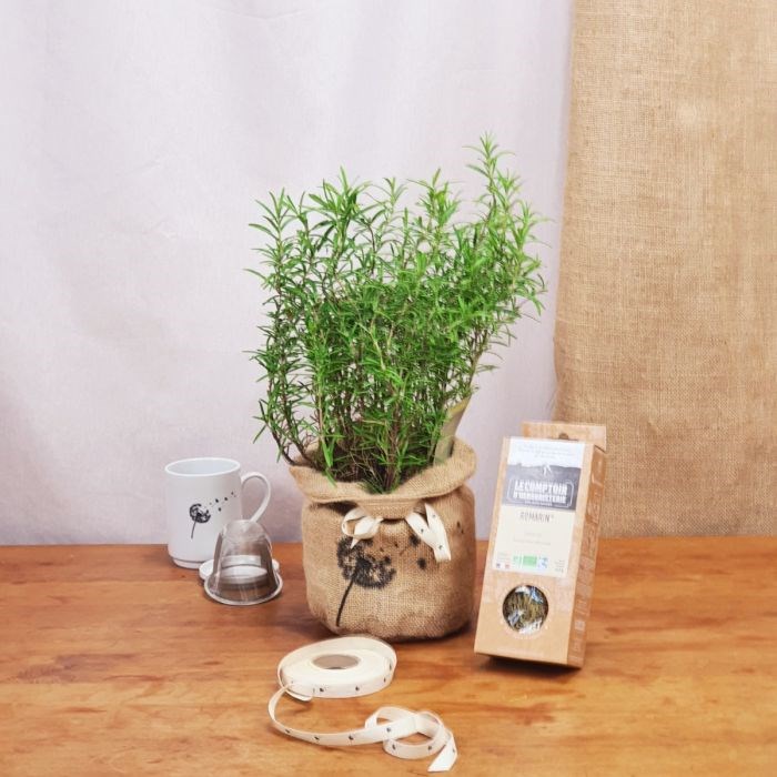 Com'La Nature - Coffret d'un romarin et son infusion bio