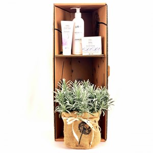 Coffret de lavande et cosmétiques bios