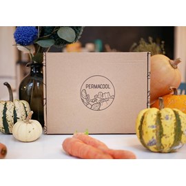 Kit jardinage - mon premier potager : basilic, ciboulette, persil, pot textile