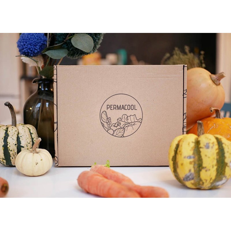 Kit jardinage - mon premier potager : basilic, ciboulette, persil, pot textile