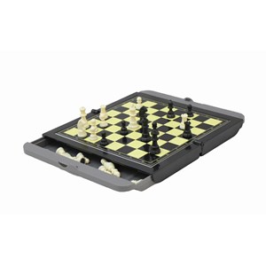 Echecs magnetiques