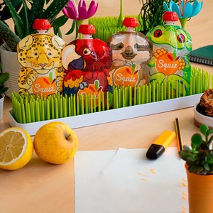 Lot de 12 gourdes réutilisables amazonie