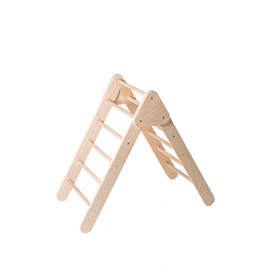 Triangle pickler ali