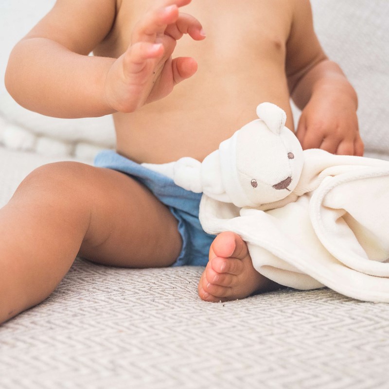 Martin l'ourson (Petite Planète) - Image 1