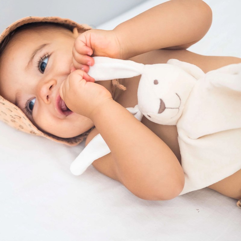 Jeannot le lapin (Petite Planète) - Image 3