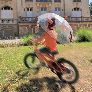 Parapluie enfant transparent dinosaure