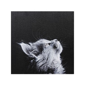 Ensemble de 4 tableaux sur toile imprimé