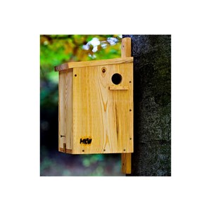 Gite nichoir à écureuils roux