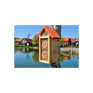 Gite à insectes - premium