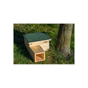 Abri à hérissons premium avec entrée