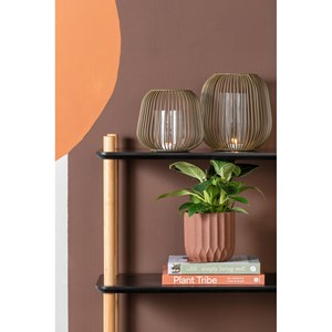 Lanterne illuminate - vert mousse