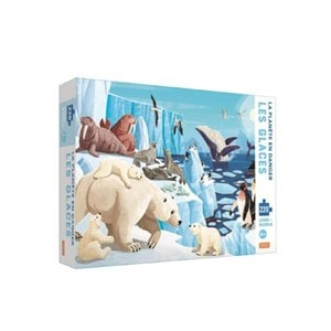 Puzzle glaces