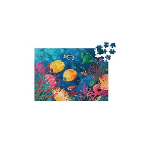Puzzle récifs coralliens