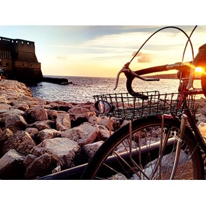 Feu bagagerie avant pour dynamo nova