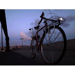 Feu bagagerie avant pour dynamo nova