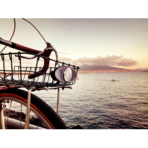 Feu bagagerie avant pour dynamo nova