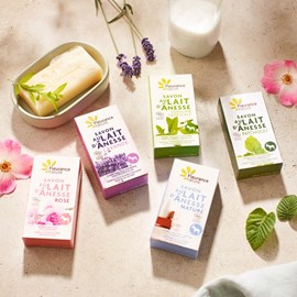 Coffret 5 savons au lait d’anesse