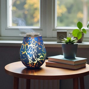 Dffuseur par chaleur douce calorya n°10