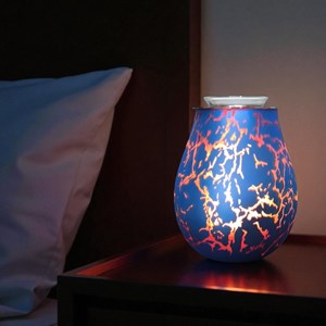 Dffuseur par chaleur douce calorya n°10