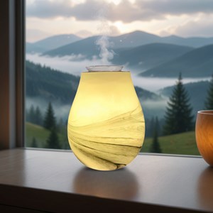 Diffuseur par chaleur douce calorya n°11