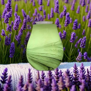 Diffuseur par chaleur douce calorya n°11